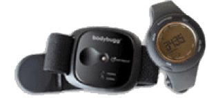 bodybug Essential Office Tech